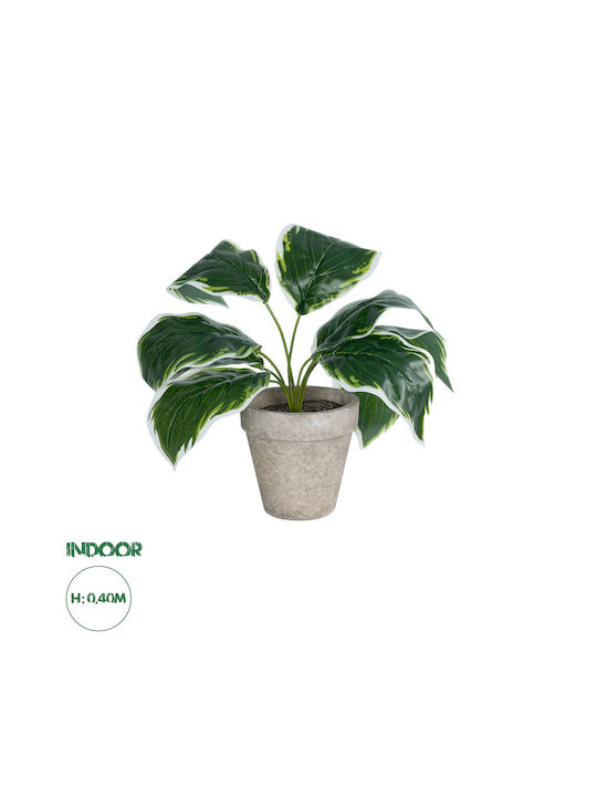 Globostar? Artificial Garden White Hosta 20900 Διακοσμητικό Φυτό Λευκή Χόστα Υ40cm