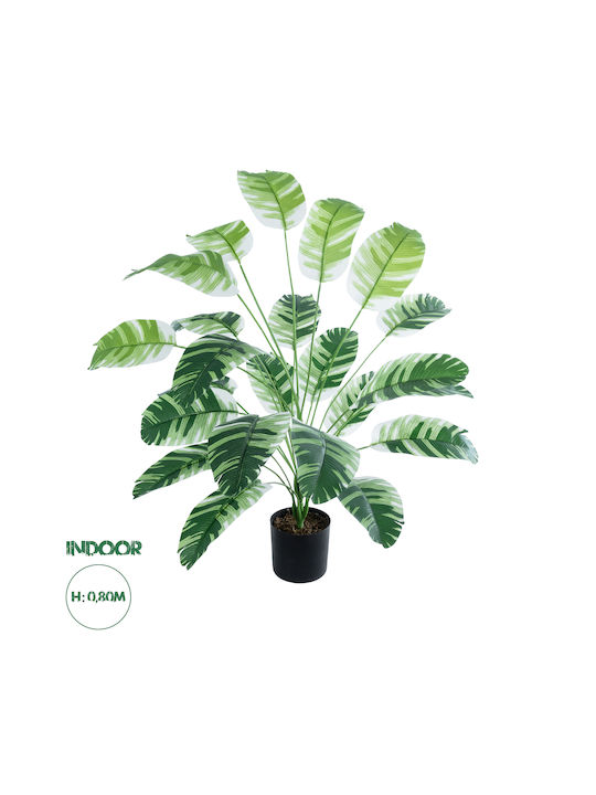 Globostar? Artificial Garden Banana Zebra 20918 Διακοσμητικό Φυτό Μπανανιά Ζέβρα Υ80cm