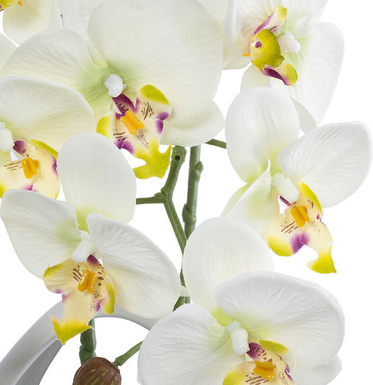 Globostar Artificial Garden White Orchid 21128 Decorative Plant White Orchid H39cm
