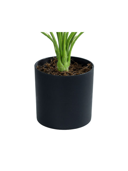 Globostar? Künstliche Gartenbanane Zebra 20929 Dekorative Pflanze Banane Zebra H55cm