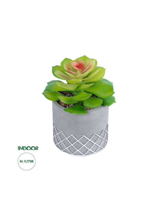 Globostar? Artificial Garden Succulent Sedeveria 21095 Διακοσμητικό Φυτό Παχύφυτο Σεντεβέρια Υ17cm
