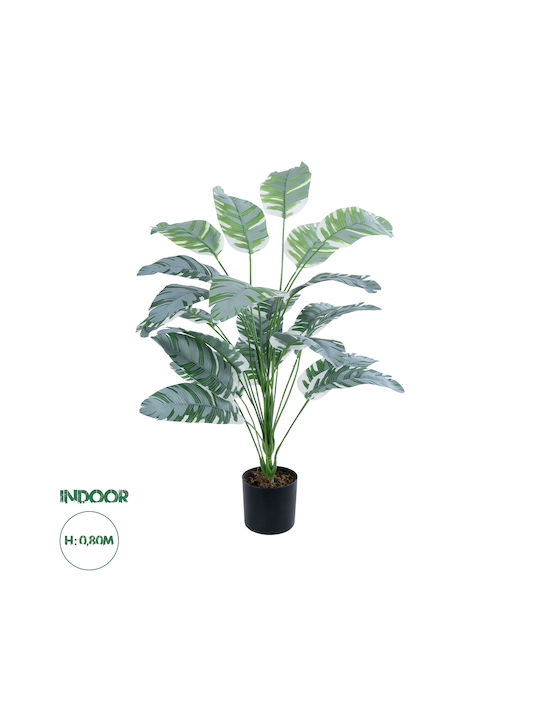 Globostar Artificial Garden Banana Zebra 20919 Decorative Plant Banana Zebra H80cm