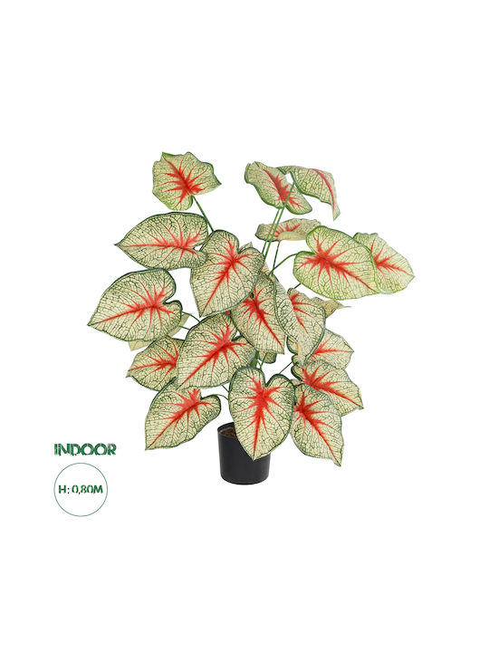 Globostar Artificial Garden Caladium 20921 Decorative Plant Caladium H80cm