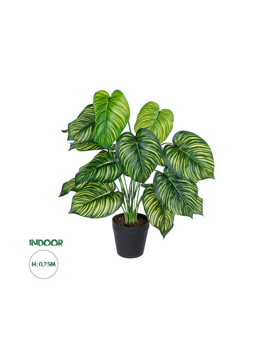 Globostar? Artificial Garden Calathea 20912 Διακοσμητικό Φυτό Καλαθέα Υ75cm