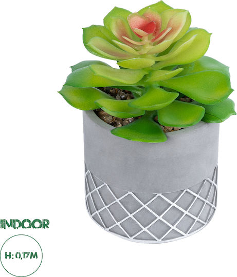 Globostar? Artificial Garden Succulent Sedeveria 21095 Διακοσμητικό Φυτό Παχύφυτο Σεντεβέρια Υ17cm