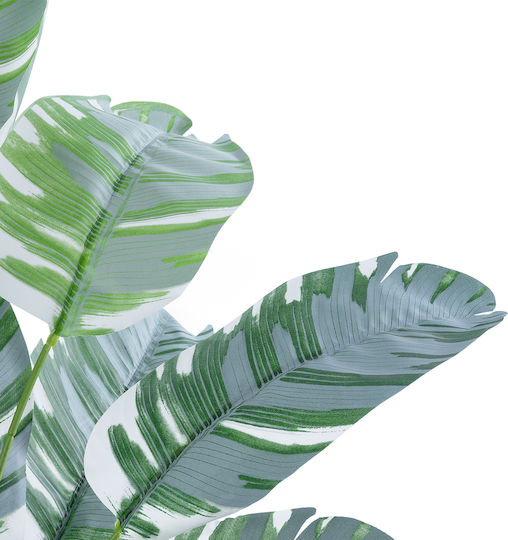 Globostar künstliche Gartenbanane Zebra 20930 Dekorative Pflanze Banane Zebra H55cm