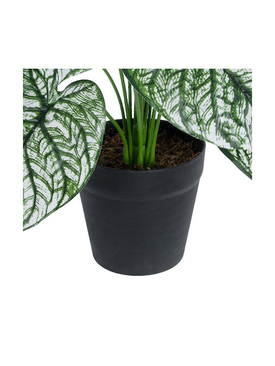 Globostar? Artificial Garden Caladium 20908 Διακοσμητικό Φυτό Καλάδια Υ75cm