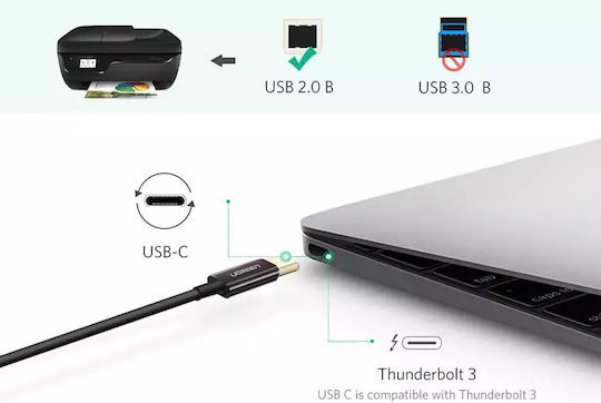 Ugreen US241 USB 2.0 Kabel USB Typ-C männlich - USB-B Schwarz 1m 80811