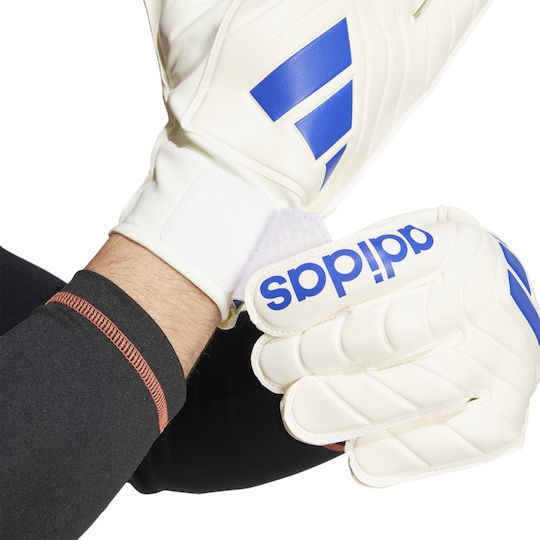 adidas Copa Gl Clb Mănuși portar Adulți Albe