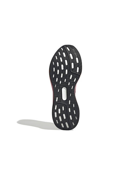 Pureboost 5 Sport Shoes Running Black