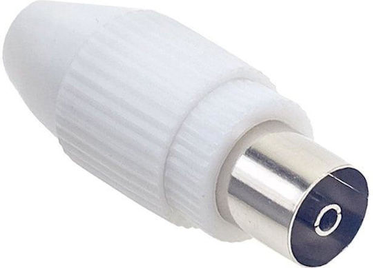 Stecker Koaxial weiblich 1Stück