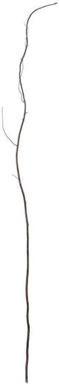 Dried Brown Grapevine Plant GloboStar