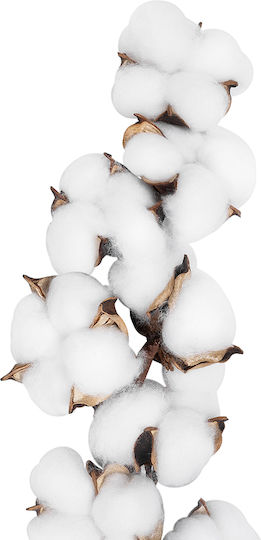 Artificial Decorative Branch White 55cm GloboStar