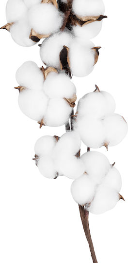 Artificial Decorative Branch White 55cm GloboStar