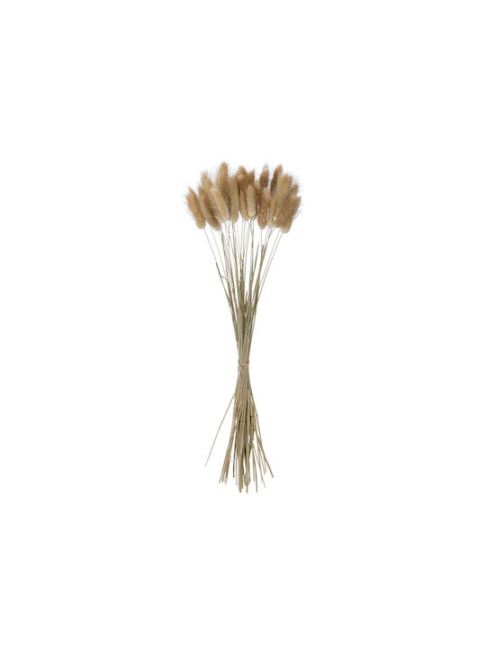 GloboStar Dried Plant Garden Beige 50cm