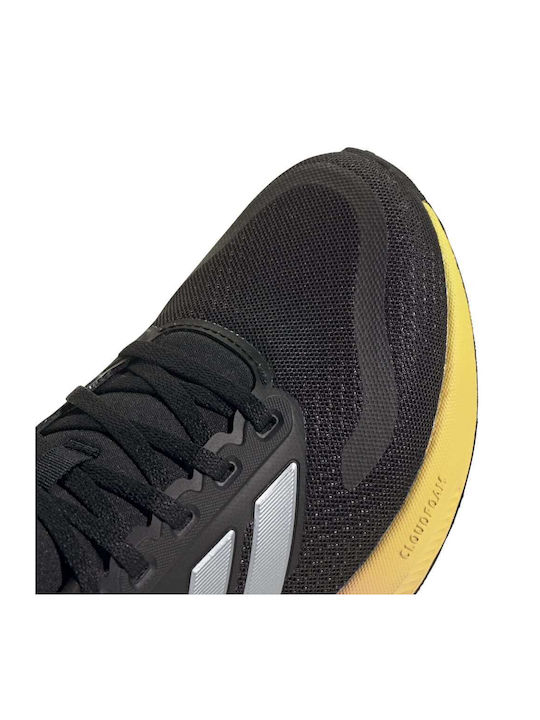 Runfalcon 5 Sport Shoes Running Black