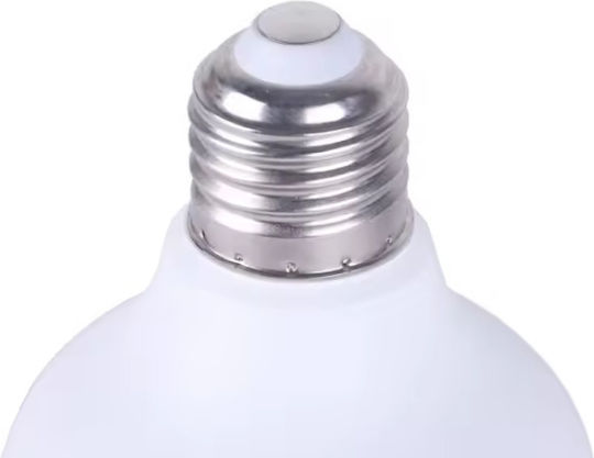 LED-Lampe 10W für Fassung E27 Kühles Weiß