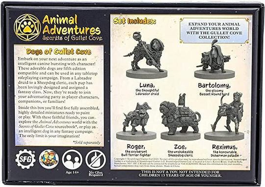 Animal Adventures Dogs Gullet Cove