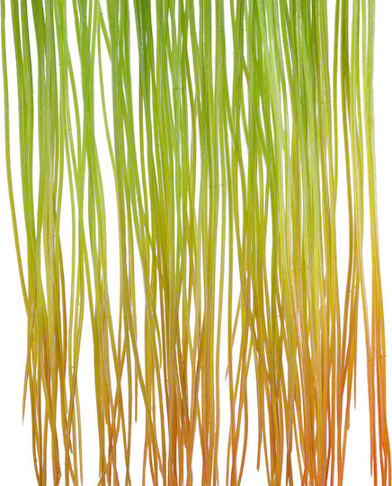 Dekorative künstliche Pflanze Gras Grün 81cm in Box GloboStar