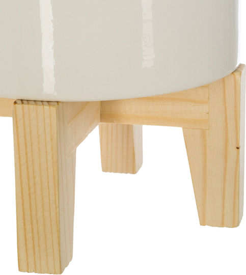 Φοίνικας σε Γλάστρα 72cm