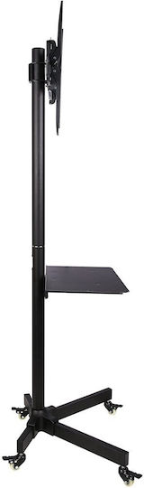 Techly ICA-TR21 Βάση Τηλεόρασης Δαπέδου έως 55" και 25kg