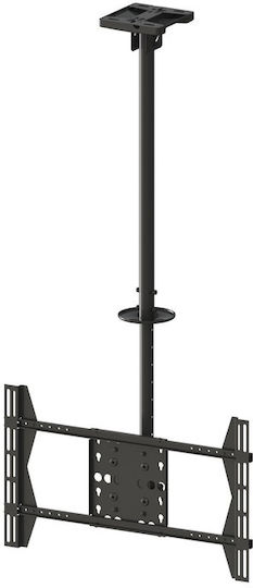 Multibrackets M Public Ceilingmount Large Single Fernsehhalterung Decke bis 63" und 40kg
