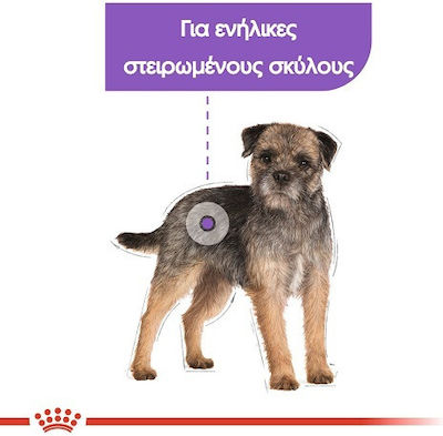 Royal Canin Υγρή Τροφή για Στειρωμένους Σκύλους με Τόνο, Κρέας, Πουλερικά και Ρύζι σε Φακελάκι 85γρ. 503413