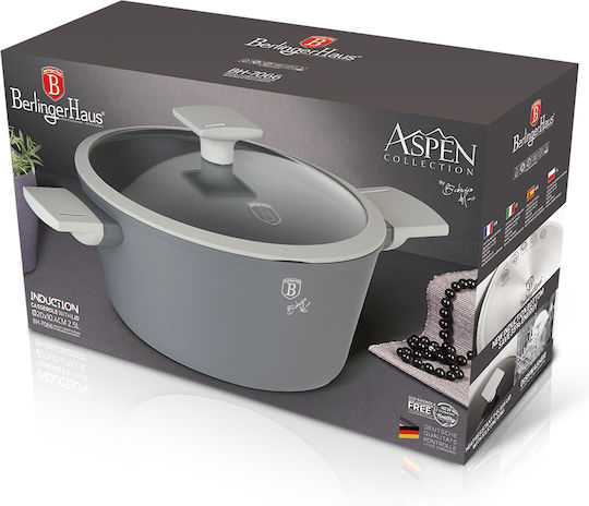 Berlinger Haus Aspen Collection Tiefer Topf aus Gussaluminium 2.5Es / 20cm
