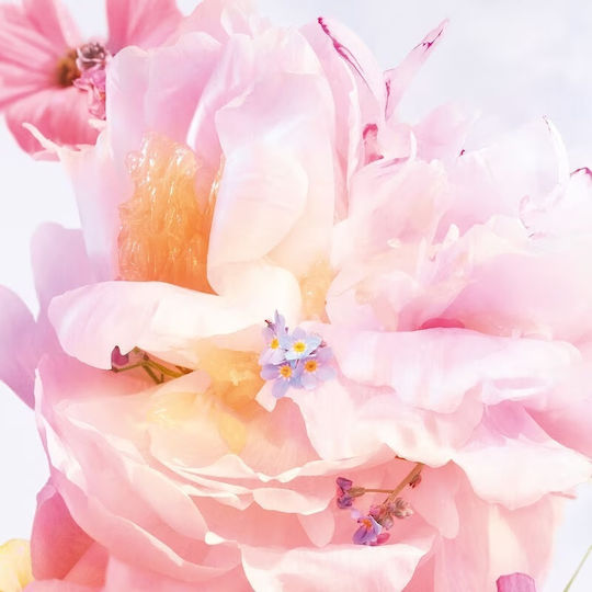 Dior Miss Dior Blooming Bouquet Eau de Toilette 50ml