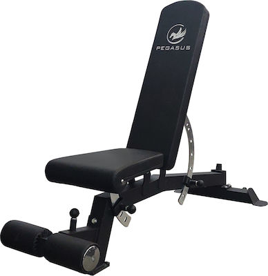 Pegasus Adjustable Workout Bench