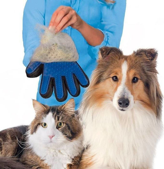 Handschuh Hunde zur Fellpflege