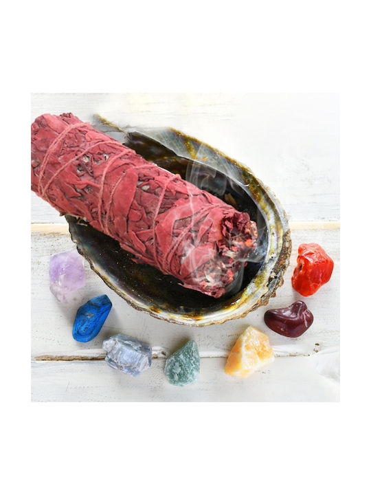 Ραβδί Λευκό Φασκόμηλο Αίμα Δράκου Dragon's Blood Sage Smudge Stick 10cm