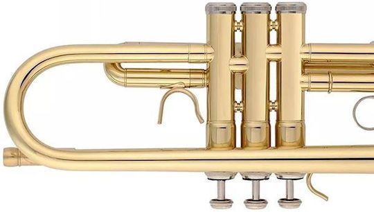 Prestige TP8001G Supreme Bb