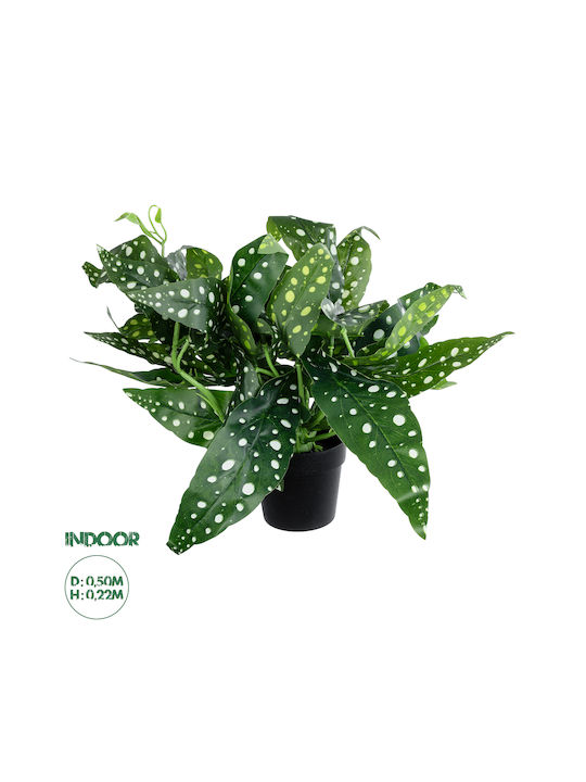 Globostar Artificial Garden Begonia Polka Dot Plant 20959 Διακοσμητικό Φυτό Βιγόνια Φ50 X Υ22cm