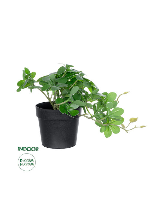 Globostar Künstliche Gartenschefflera-Pflanze 20954 Dekorative Pflanze Schefflera F18 X H17cm