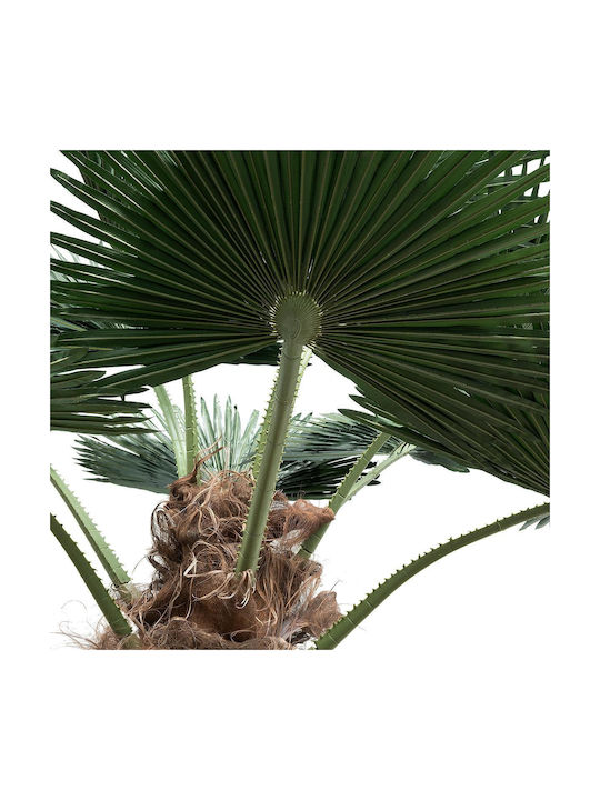 Planta artificială de grădină Globostar Palmier 21056 Palmier decorativ H240 x H500cm
