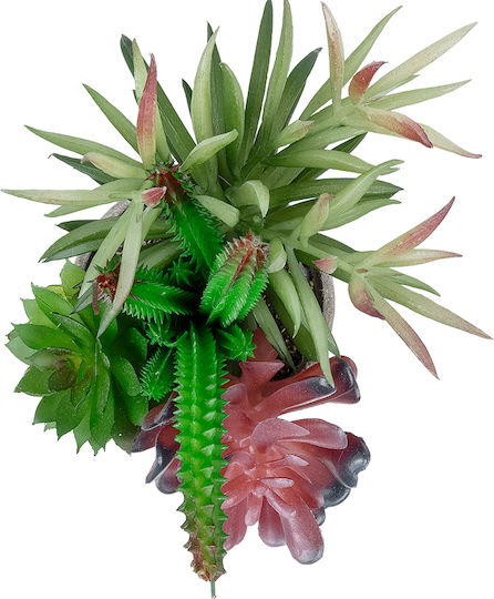 Globostar Grădină Artificială Suculentă Diverse Plante Înghesuite 21039 Mix de Plante Decorative Înghesuite M17 X H20cm