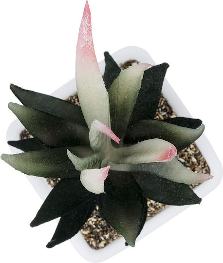 Globostar Künstliche Garten Sukkulente Aloe Topfpflanze 20974 Dekorative Aloe Pflanze Φ7 X Η14cm