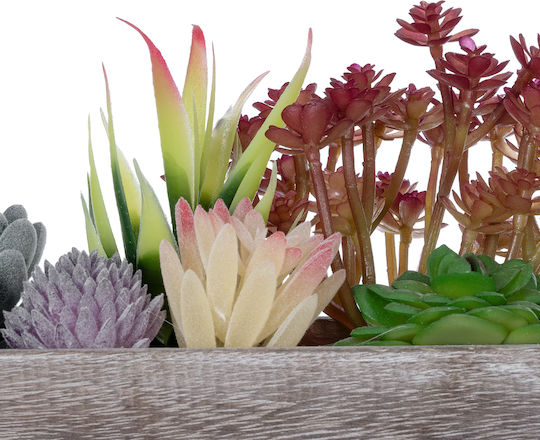 Globostar Artificial Garden Succulent Various Plant Potted Decorative Plant Mix L29 X W10 X H18cm GloboStar