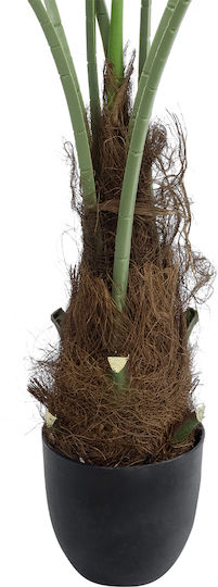 Globostar Künstliche Garten Serenoa Palme Pflanze 20971 Dekorative Palme Pflanze Serenoa Φ60 X H140cm