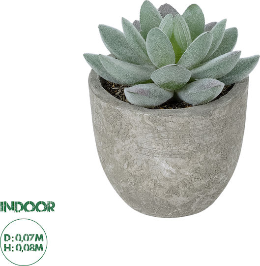 Globostar Artificial Garden Succulent Sedeveria Potted Plant 21016 Διακοσμητικό Φυτό Σεδεβέρια Φ7 X Υ8cm Globostar Artificial Garden Succulent Sedeveria Potted Plant 21016 Διακοσμητικό Φυτό Σεδεβέρια Φ7 X Υ8cm