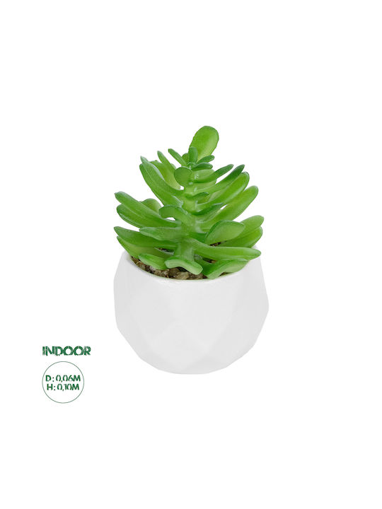 Globostar Künstliche Garten Sukkulente Crassula Topfpflanze 20986 Dekorative Pflanze Crassula Φ6 X H10cm