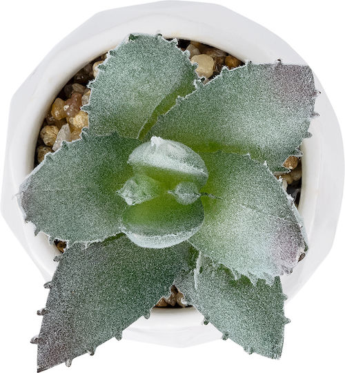 Globostar Artificial Garden Succulent Aloe Potted Plant 20999 Decorative Plant Aloe F7 X H9cm