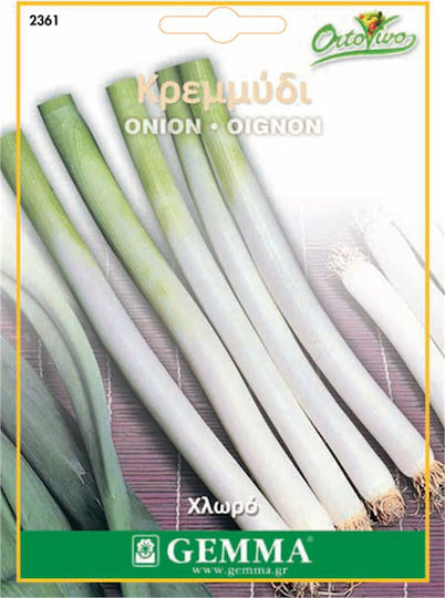 Gemma Samen Zwiebel Grün Weiß 4.5gr/1125Stück