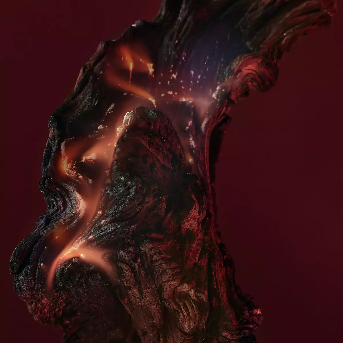 Bvlgari Man In Black Eau de Parfum 100ml