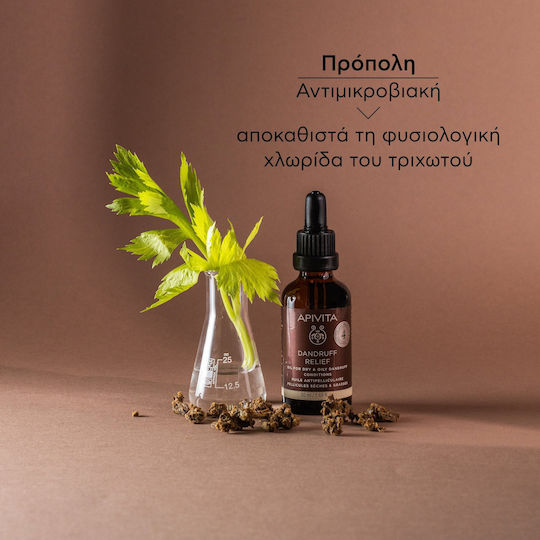 Apivita Dandruff Relief Ulei de păr uscat pentru Hidratare împotriva Mătreții 50ml
