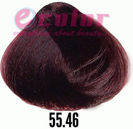 Vita Hair Professional Βαφή Μαλλιών Καστανό Κόκκινο Βουργουνδίας 100ml