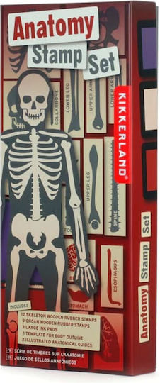Kikkerland Σφραγίδες Anatomy Stamp για Παιδιά 3+ Ετών 21τμχ