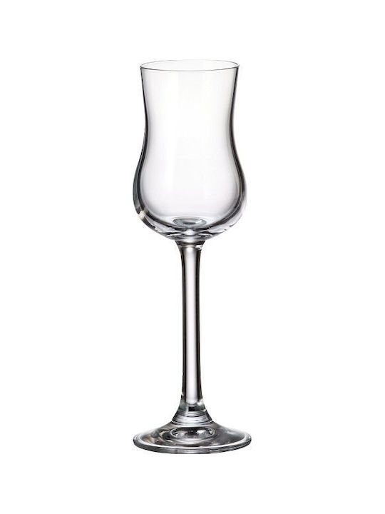 Siguro Set Gläser Likör/Ouzo aus Glas Mit Stiel 85ml 85Stück