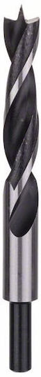 Bosch Diy Wood Drill Bit 15x100x160